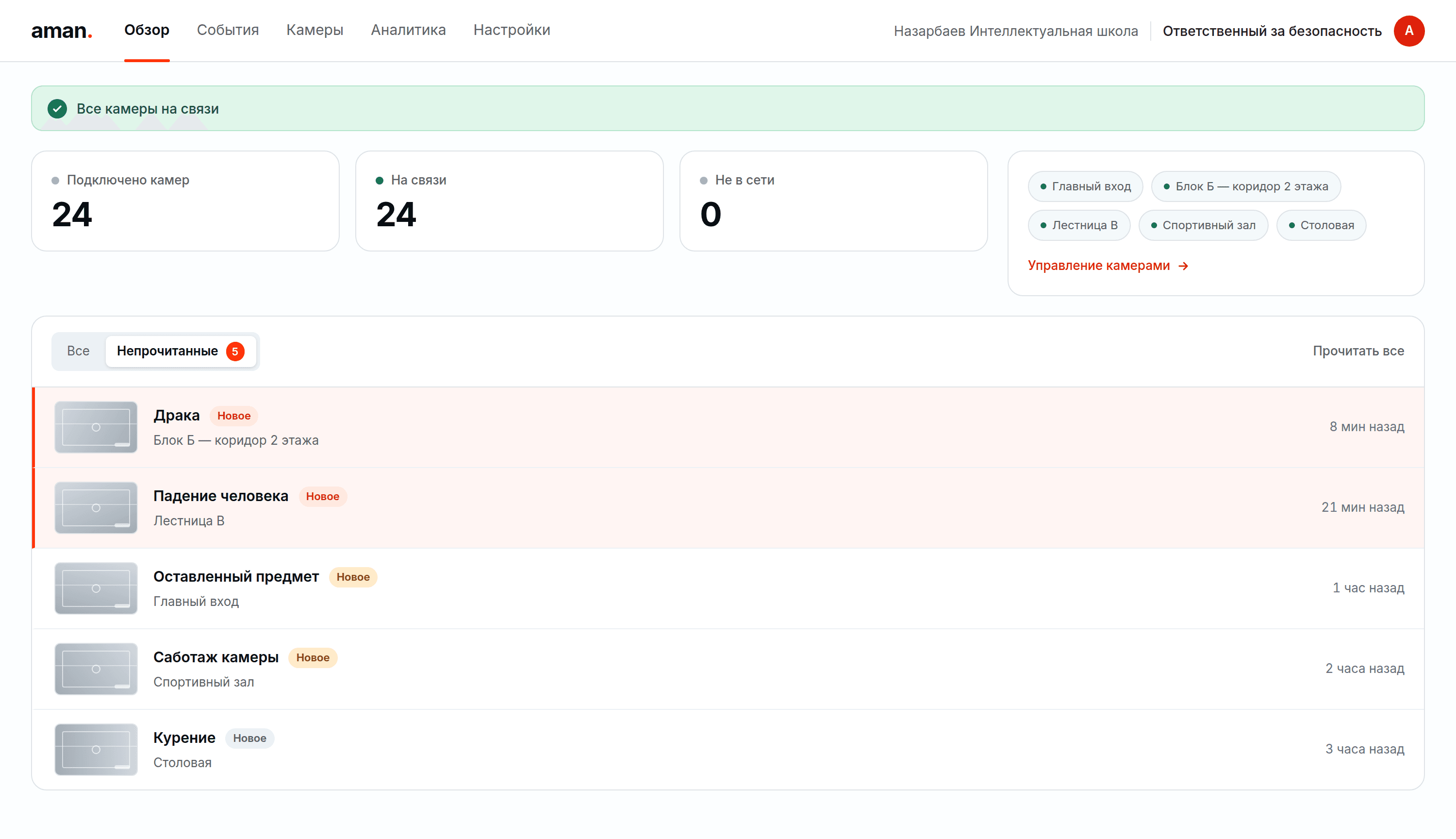 Видеоаналитика безопасности interface